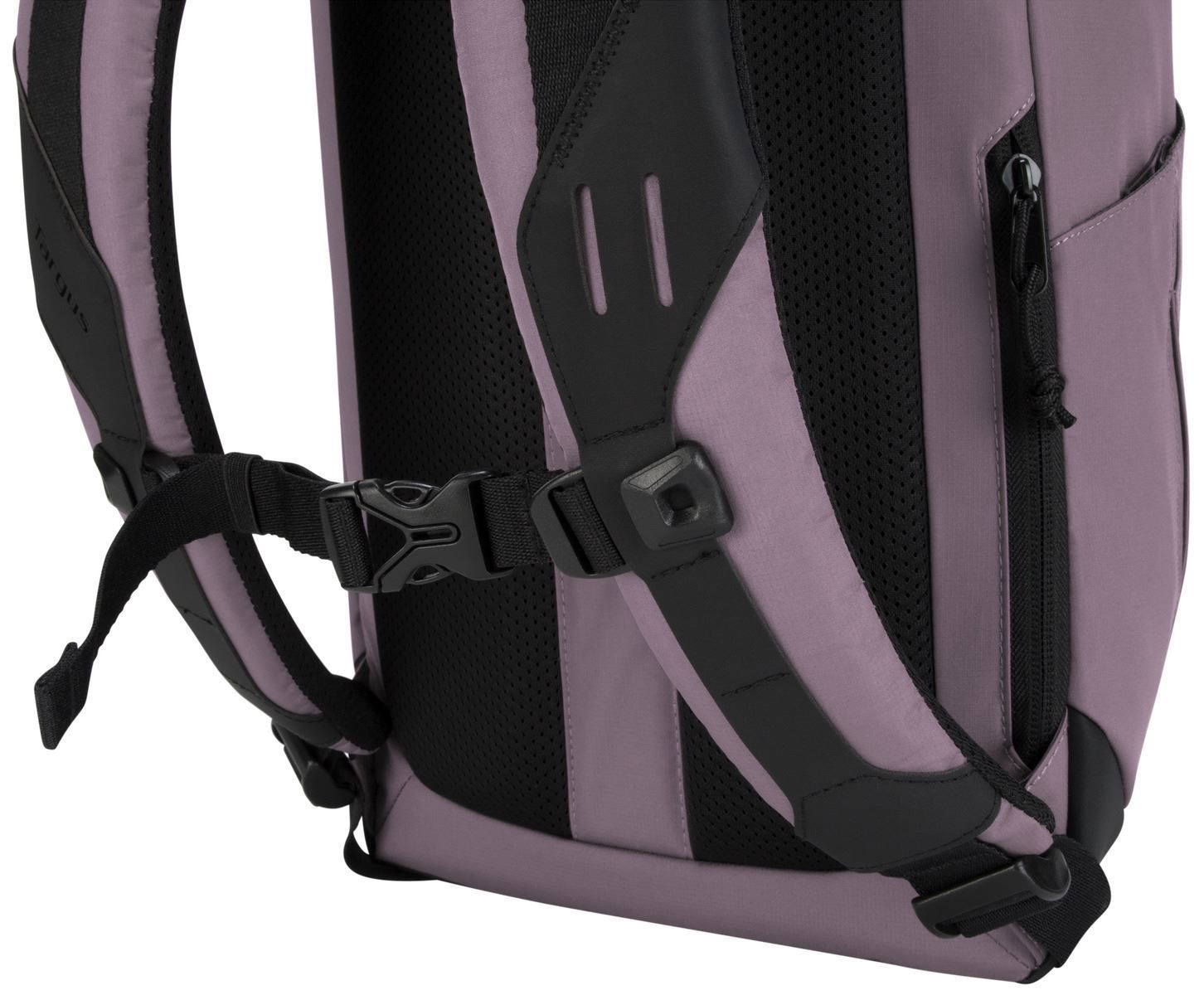 TARGUS TSB97203GL Sol-Lite, Rucksack, Universal, Universal, Hell Lila