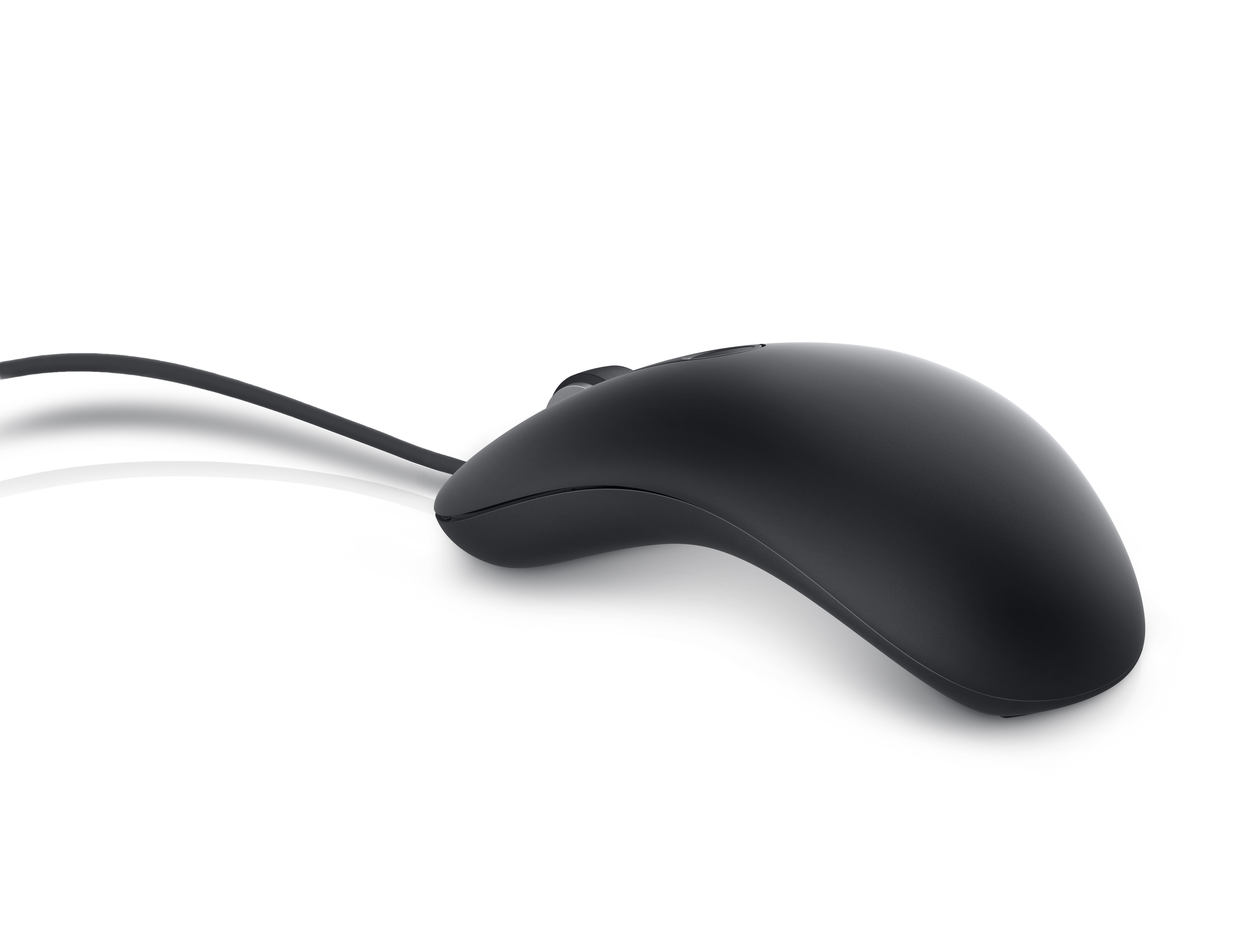 DELL - B2B MS819, Schwarz