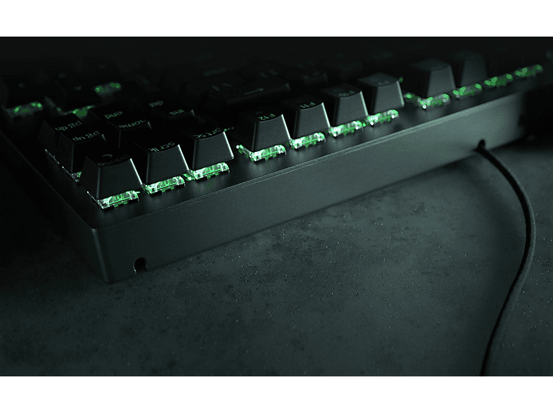 RAZER Gaming Tastatur BlackWidow V3 Tenkeyless, RAZER green, Mechanisch, USB, DE, Schwarz — Foto 4 von 4