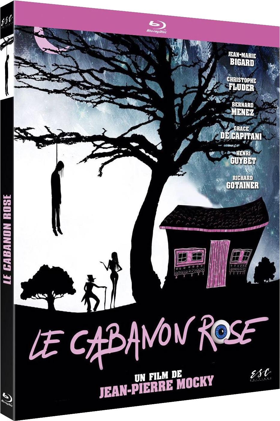 Couverture DVD, une scène de film d'horreur avec une personne pendue et une maison.