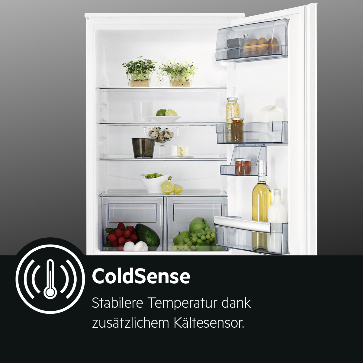 Innenansicht eines Kühlschranks mit Regalen, die mit Lebensmitteln gefüllt sind, mit ColdSense-Etikett.