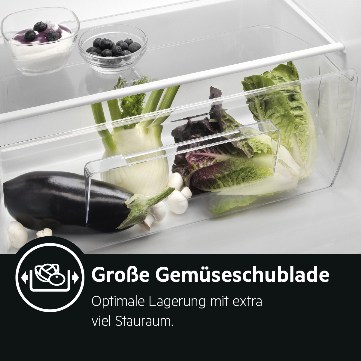Eine große Gemüseschublade gefüllt mit Aubergine, Salat und Fenchel.