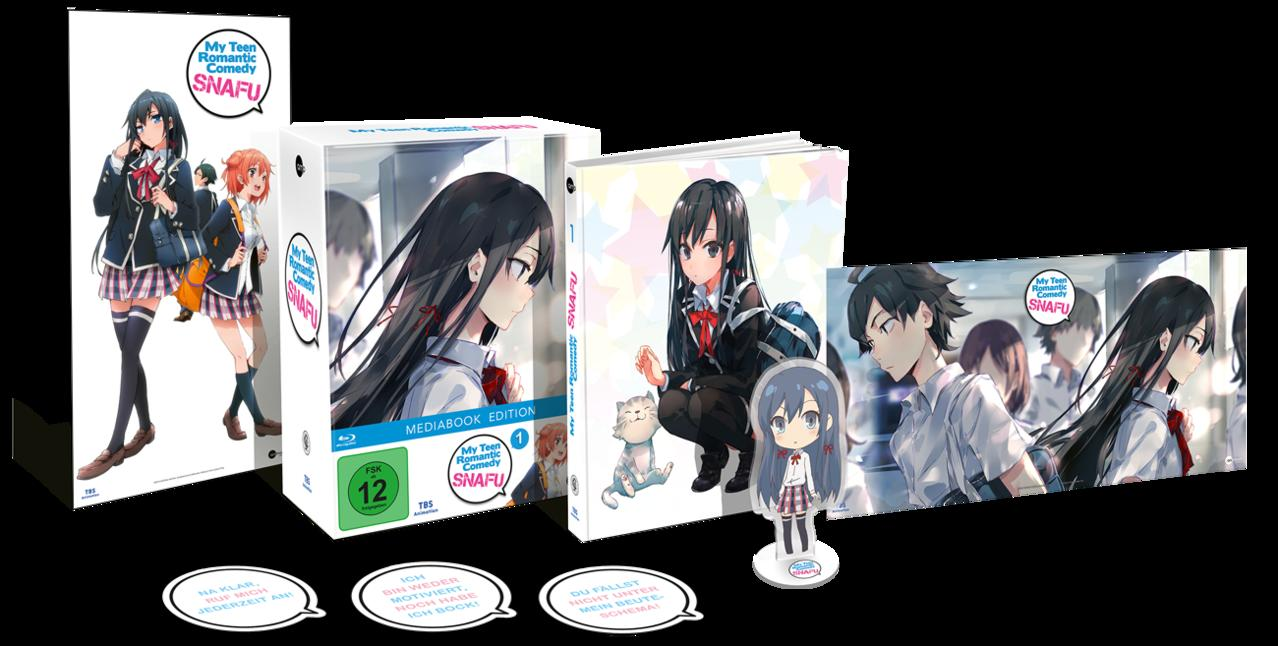 Anime-Merchandise: Boxen, Broschüren und ein Ständer mit einer Figur.