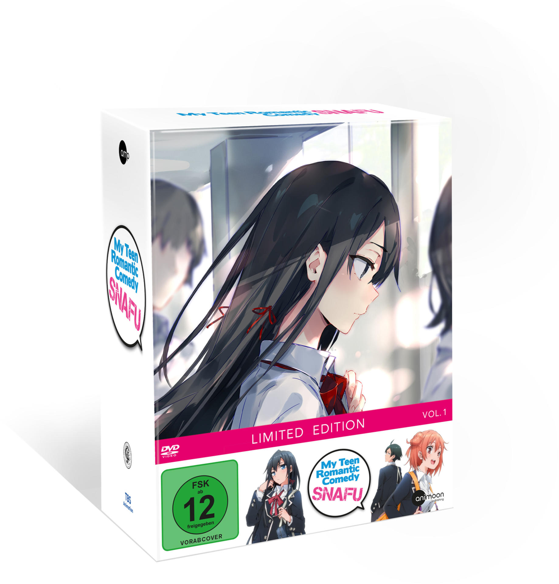 Anime-Box-Set mit einer weiblichen Figur auf dem Cover, Titel: 'My Teen Romantic Comedy SNAFU'.