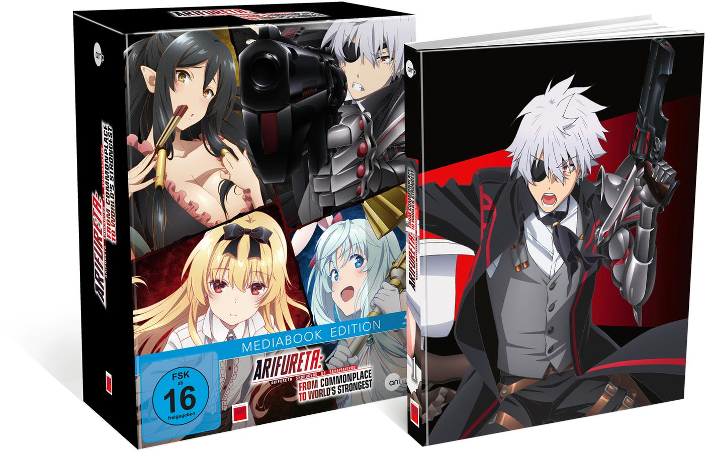 Anime-Box-Set mit mehreren Charakteren auf dem Cover.