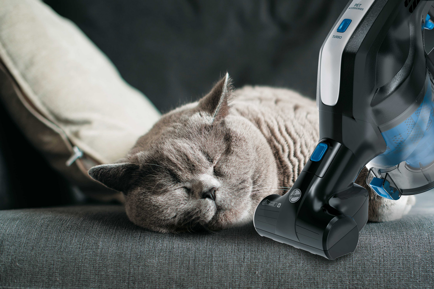 Un gato gris duerme en un sofá gris, y una aspiradora negra está en la esquina derecha.