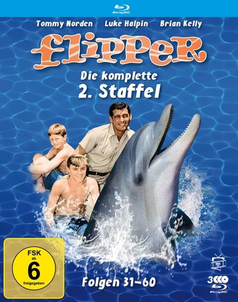 DVD-Cover: Flipper-Film. Ein Delphin springt, zwei Jungen sind im Wasser, und ein Mann steht.