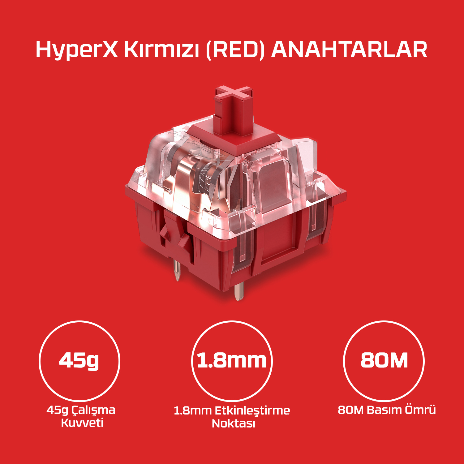 Özellikleri hakkında metin içeren tek bir kırmızı klavye anahtarı.