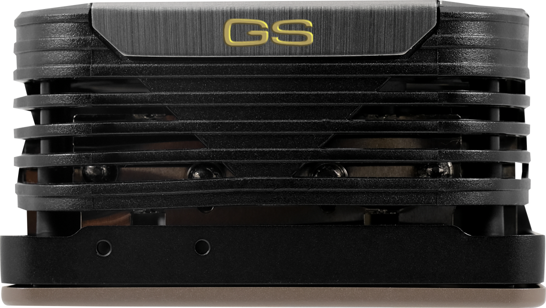 GAINWARD Grafikkarte GeForce RTX 3070 Phoenix Golden Sample 8GB (GA-3070RTX-PX-GS)