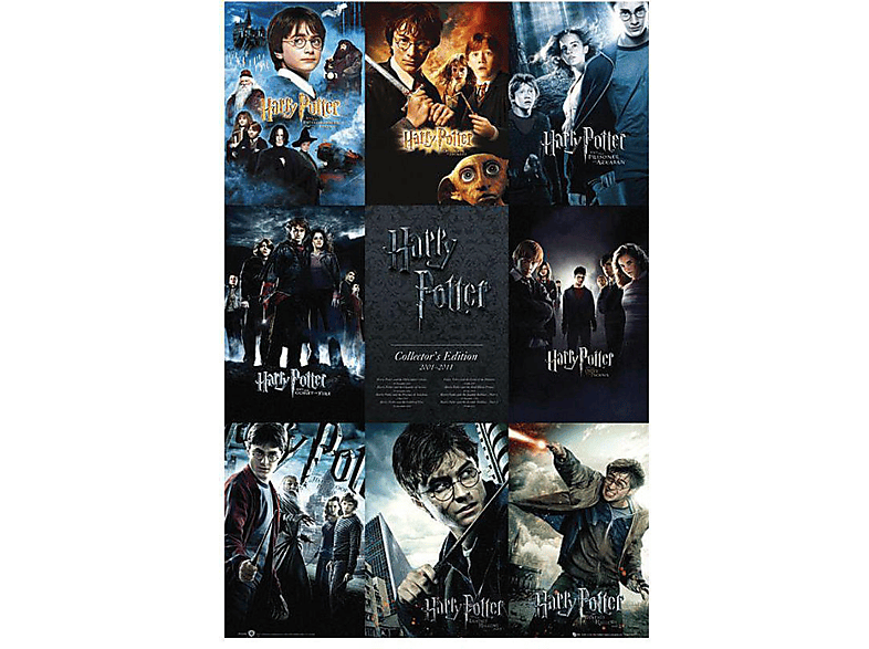 GB EYE Harry Potter Poster 2001-2011 Edition Collector\'s Großformatige Poster