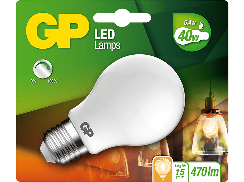 GP LIGHTING LED lamp Vintage Frost E27 (745GPCLAS080473CE1) | MediaMarkt