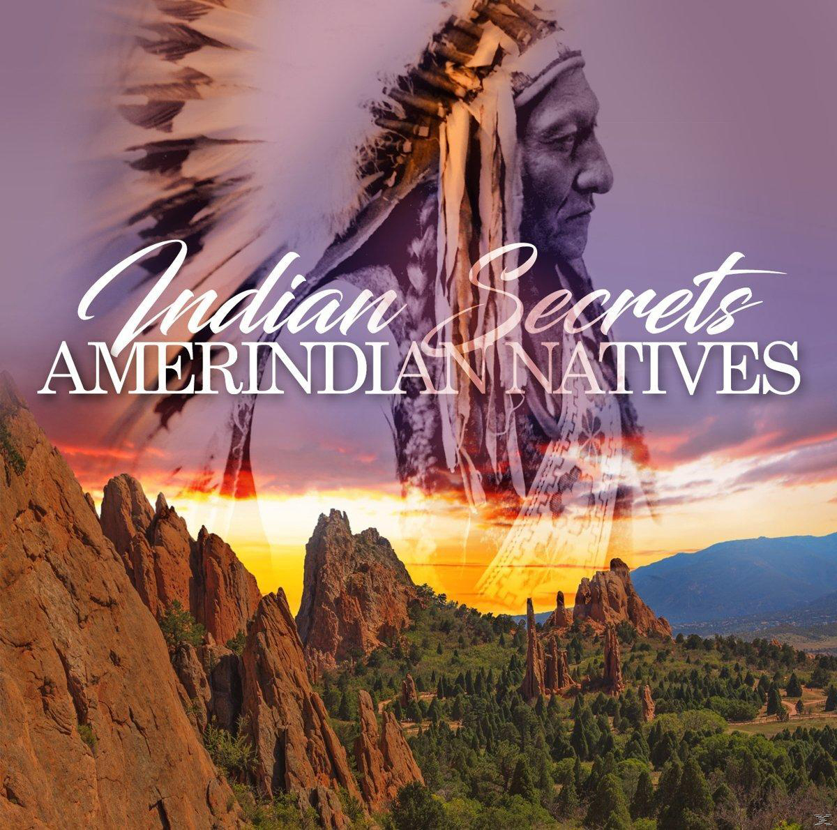 Bild eines indianischen Häuptlings mit dem Text 'Indian Secrets' über einer Berglandschaft.