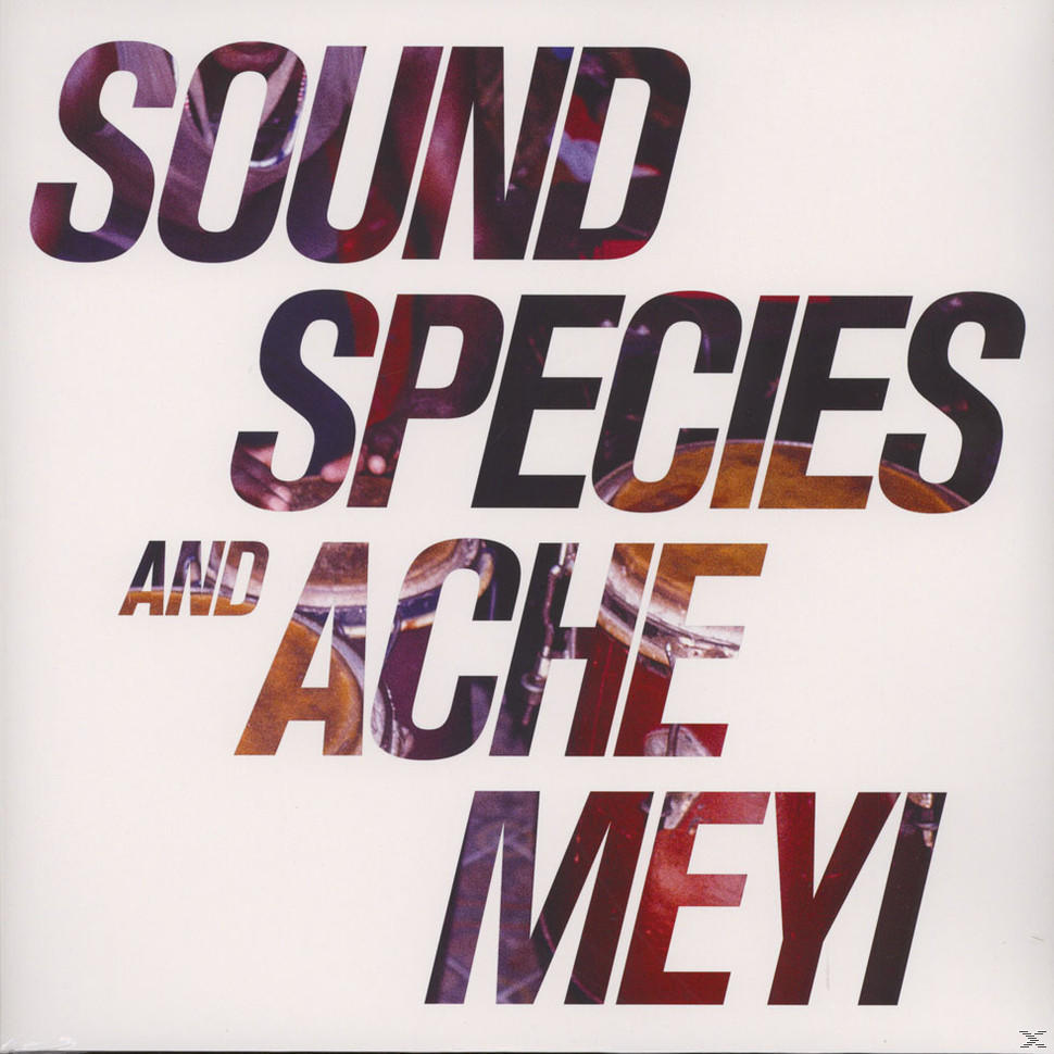 Soundspecies & Ache Meyi - Soundspecies & Ache Meyi  - (Vinyl)