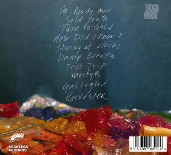 Bitch Falcon - Staring at Clocks  - (CD)