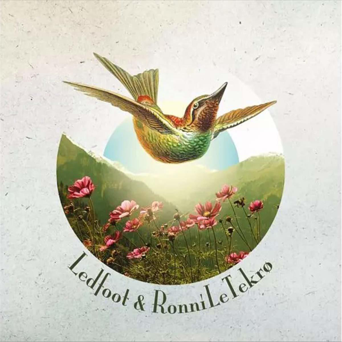 Ledfoot, Ronni Le Tekro - LEDFOOT & RONNI LE TEKRO  - (Vinyl)