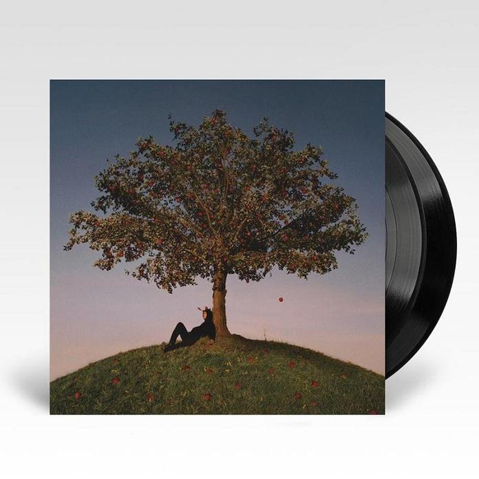 Slowthai - Tyron (Ltd.Vinyl)  - (Vinyl)