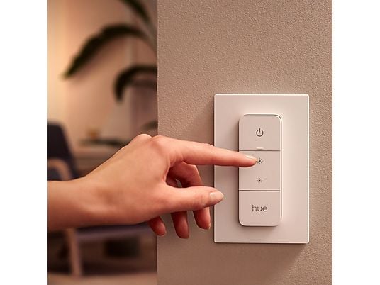 PHILIPS HUE Draadloze dimmer Switch (27461700)