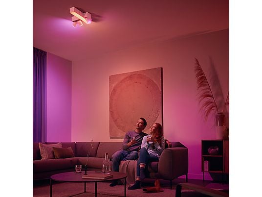 PHILIPS HUE Draadloze dimmer Switch (27461700)