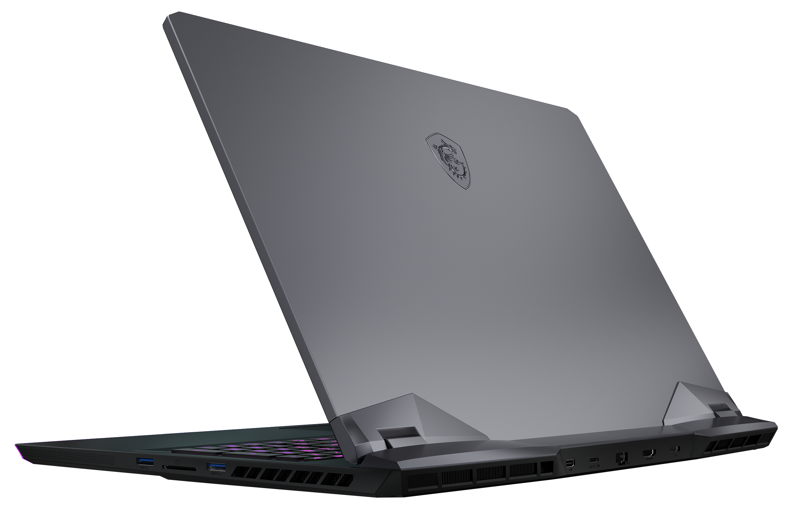 MSI GE76 RAIDER 10UG-289 - 17,3 Zoll - Intel® Core™ i7  i7-10870H - 16 GB - 1 TB - NVIDIA GeForce RTX™ 3070 - Windows 10 Home (64 Bit)