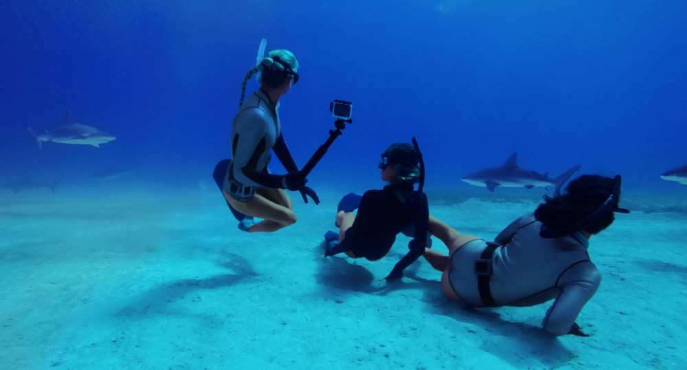 Plongeurs dans l'eau avec des requins, filmant avec une caméra.