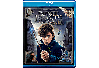 Fantastic Beasts And Where To Find Them | Blu-ray