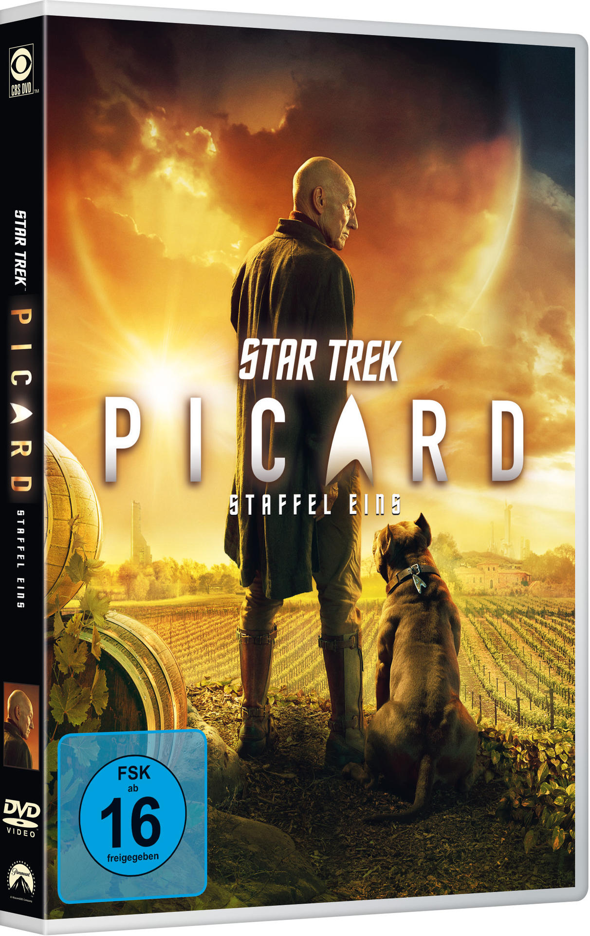 DVD-Cover von Star Trek Picard. Mann und Hund stehen in einem Weinberg. Sonnenuntergang. Text: Star Trek Picard Staffel Eins.