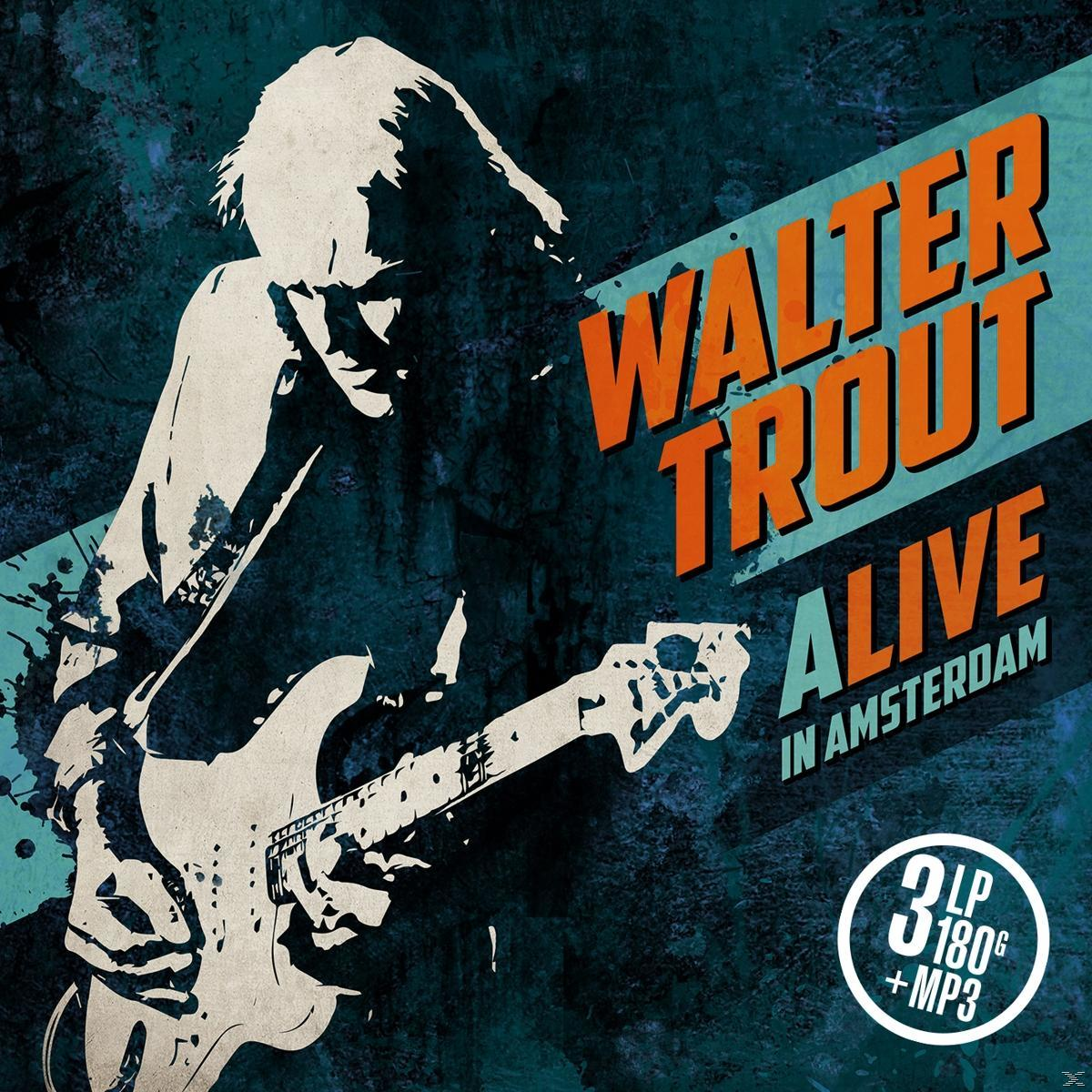Walter Trout albumborító egy gitáros stilizált sziluettjével és narancssárga felirattal kék háttéren.