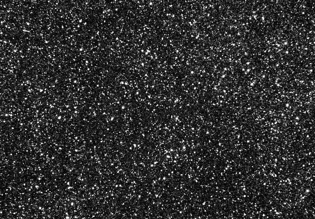 Eine schwarze Oberfläche, bedeckt mit winzigen weißen Punkten, die eine glitzernde Textur erzeugen. Die Punkte variieren in Größe und Intensität.