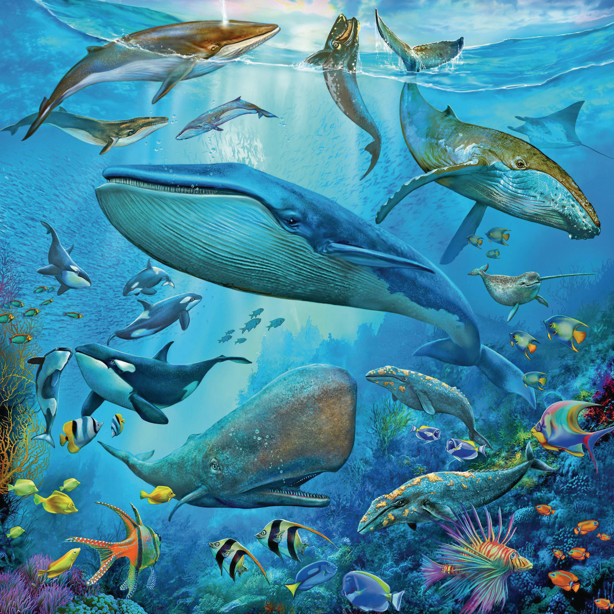 RAVENSBURGER Tierwelt des Ozeans Puzzle Mehrfarbig