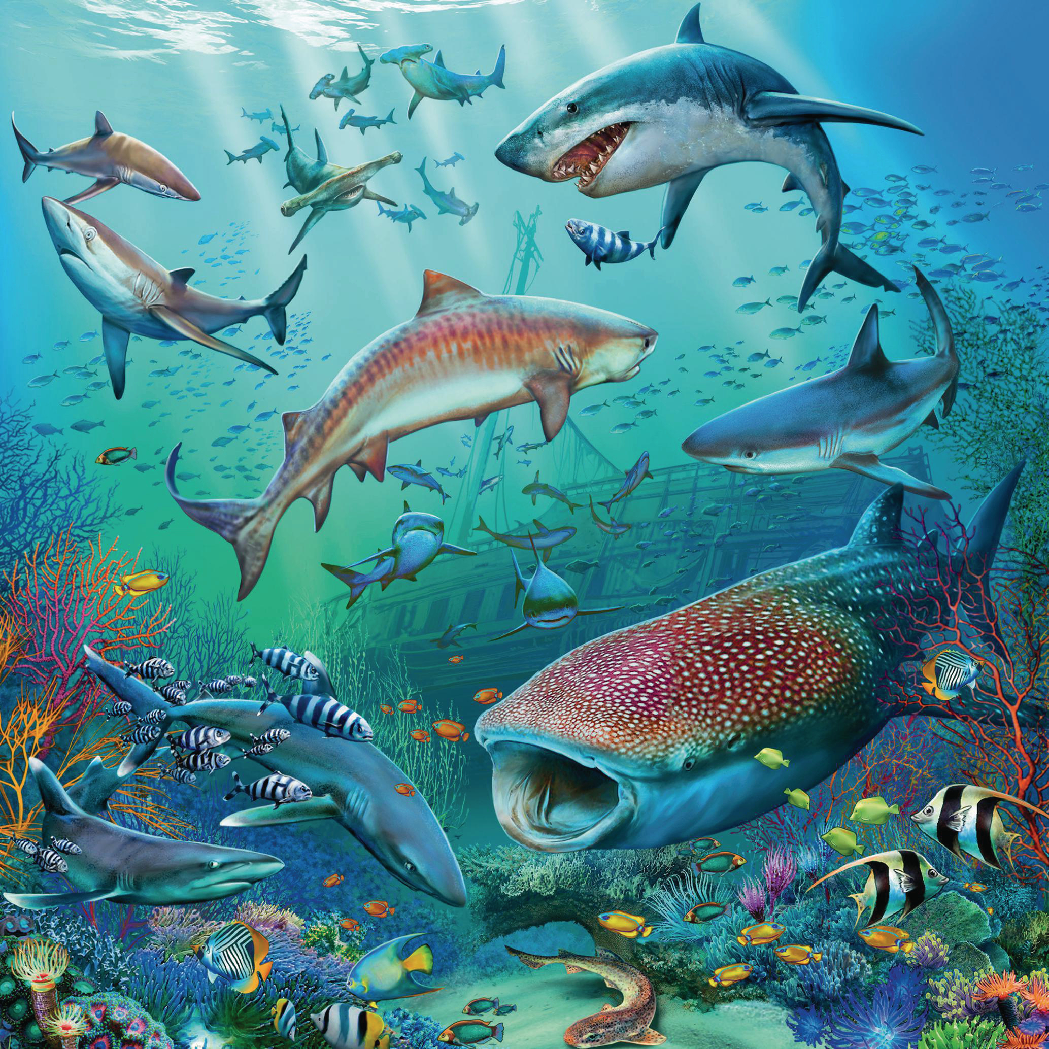 Mehrfarbig Ozeans RAVENSBURGER Puzzle Tierwelt des