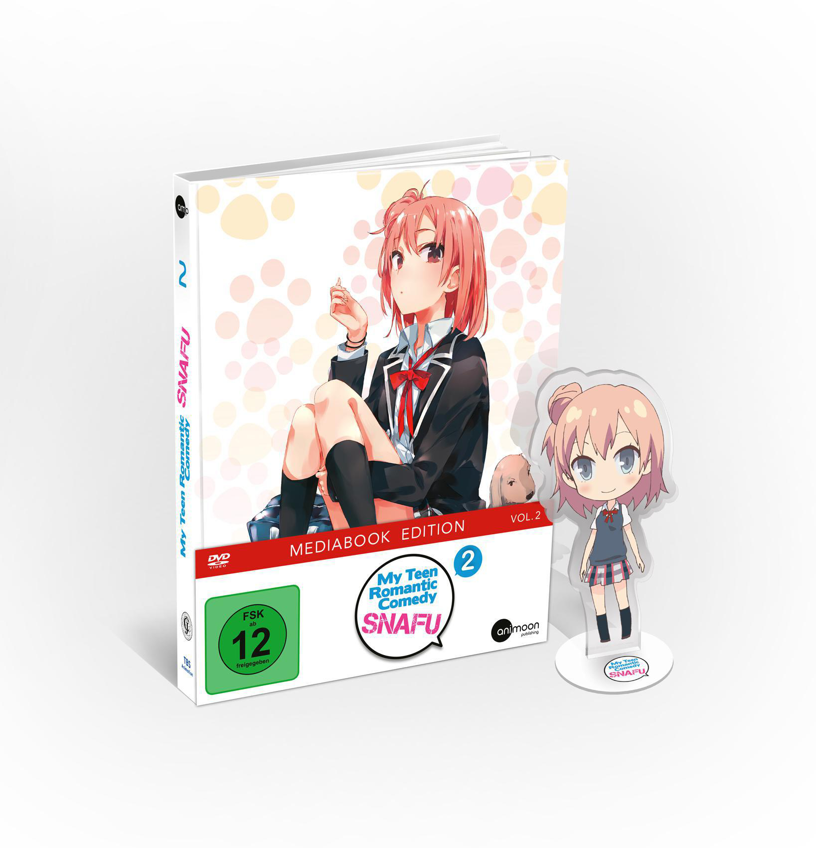 Anime-DVD-Set mit Mädchenillustration und Figur. Der Titel lautet My Teen Romantic Comedy SNAFU.
