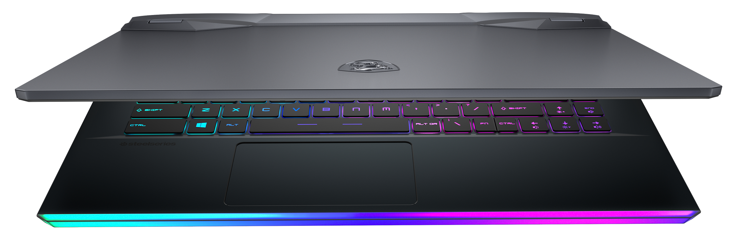 MSI GE66 RAIDER 10UG-261 - 15,6 Zoll - Intel® Core™ i7 i7-10870H - 16 GB - 1 TB - NVIDIA GeForce RTX™ 3070 - Windows 10 Home (64 Bit)