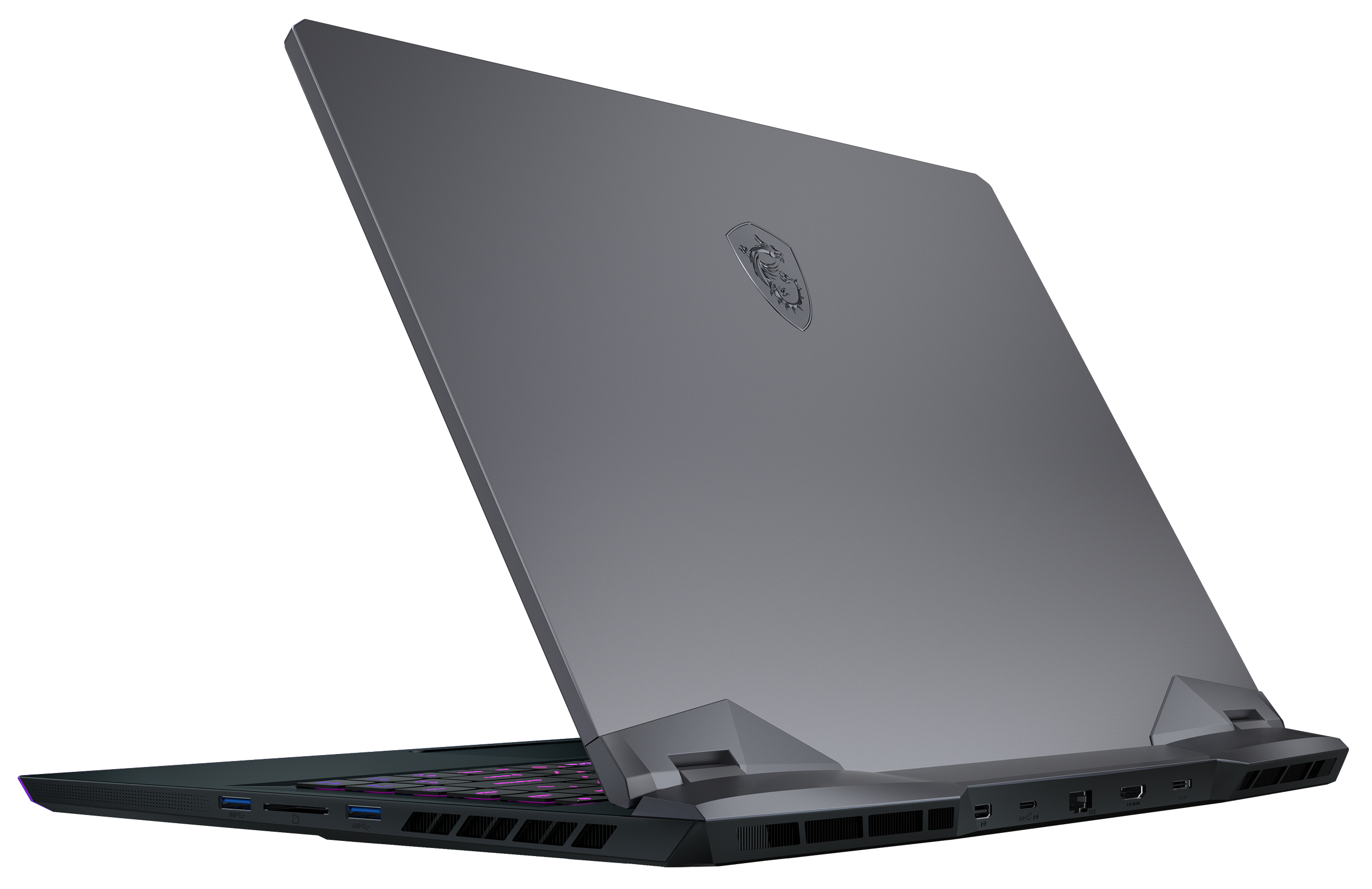 MSI GE66 RAIDER 10UG-261 - 15,6 Zoll - Intel® Core™ i7 i7-10870H - 16 GB - 1 TB - NVIDIA GeForce RTX™ 3070 - Windows 10 Home (64 Bit)