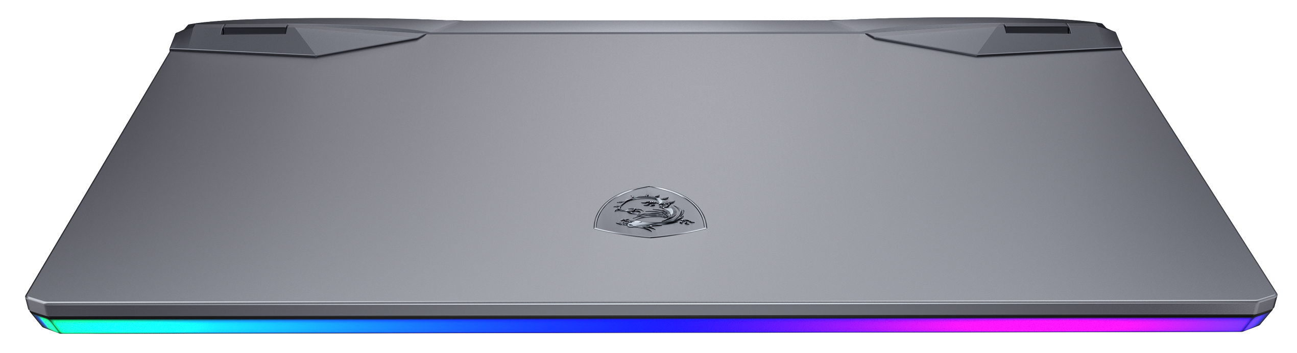 MSI GE66 RAIDER 10UG-261 - 15,6 Zoll - Intel® Core™ i7 i7-10870H - 16 GB - 1 TB - NVIDIA GeForce RTX™ 3070 - Windows 10 Home (64 Bit)