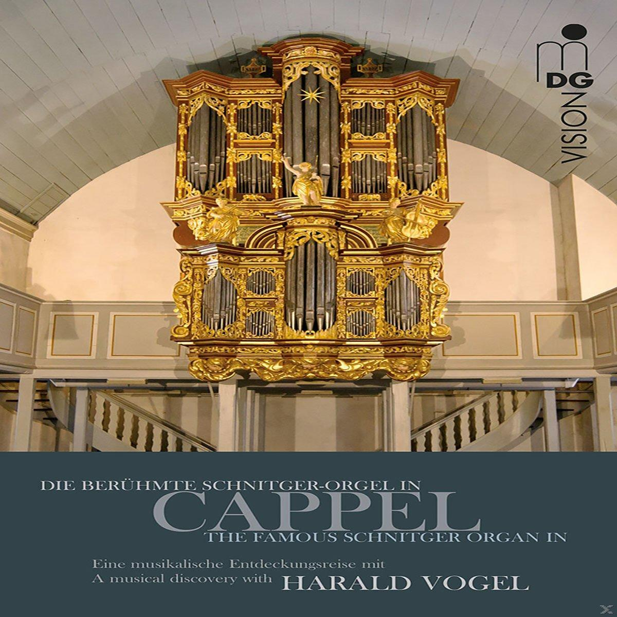 Die berühmte Arp Schnitger-Orgel in Cappel DVD