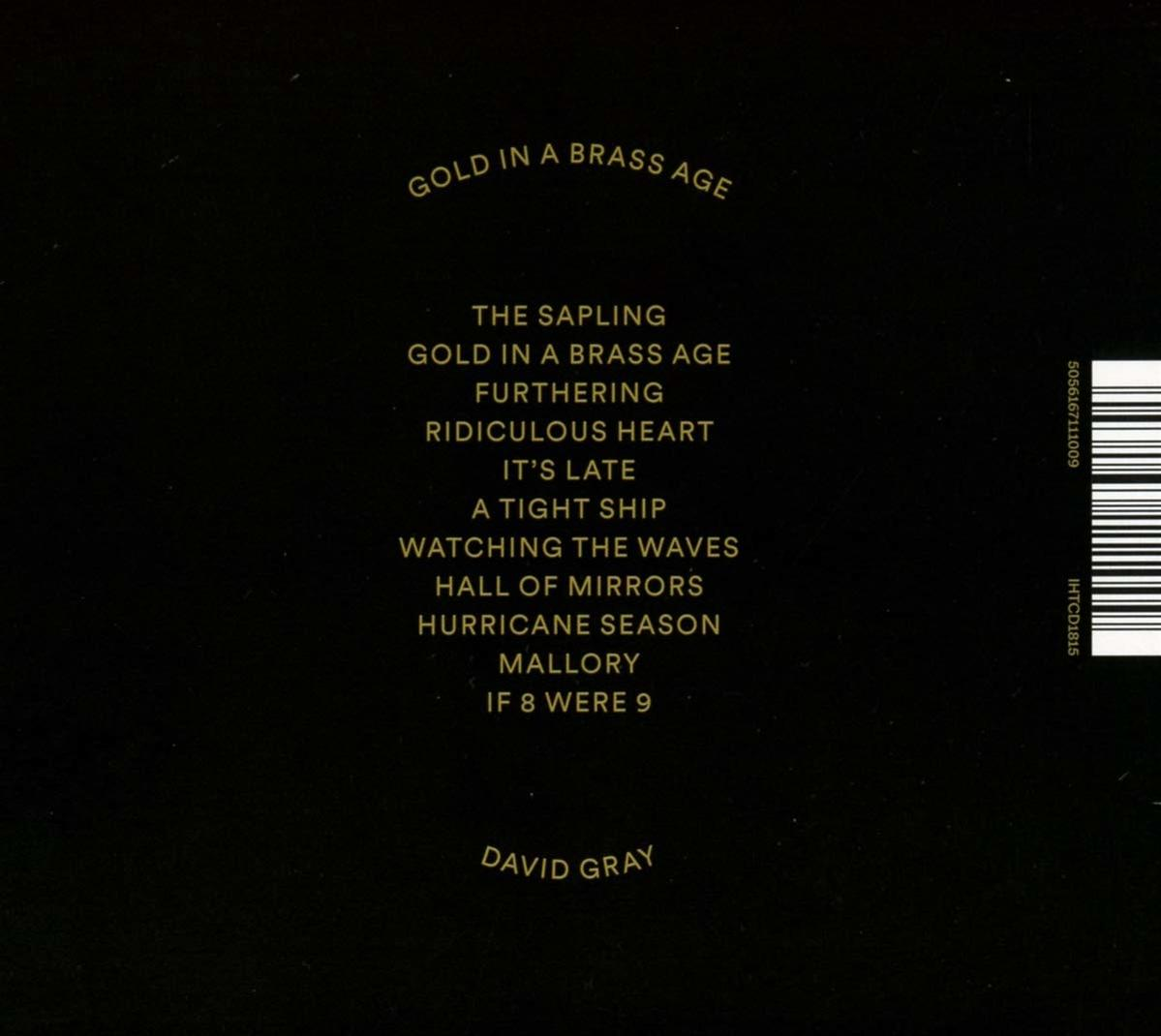 David Gray - Gold In Age Brass (CD) - A