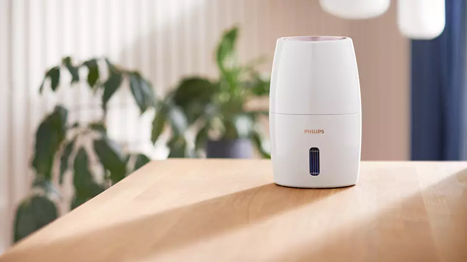 Un humidificateur Philips blanc sur une table en bois avec une plante en arrière-plan flou. C'est une forme ovale blanche.