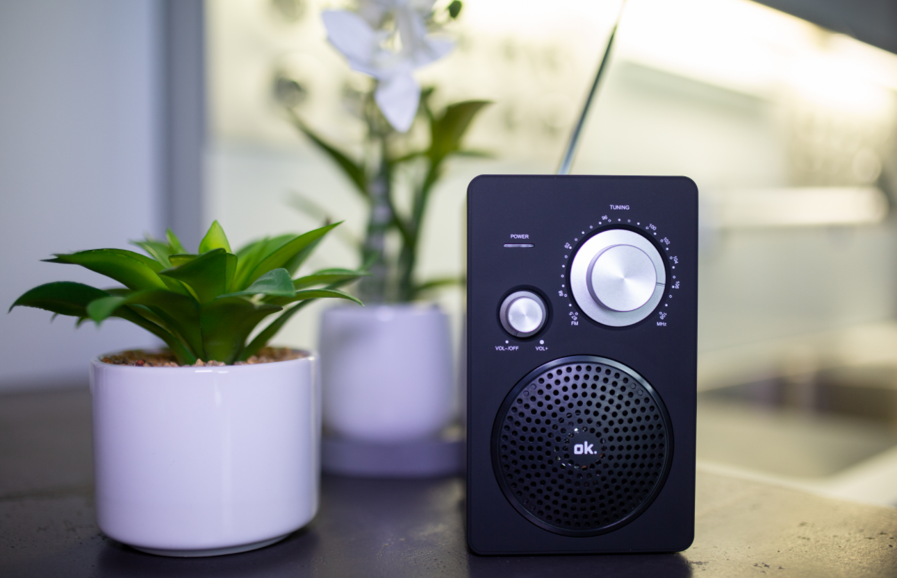 Schwarzes Radio mit silbernem Drehknopf, Lautsprecher und Töpfen mit grünen und weißen Pflanzen.