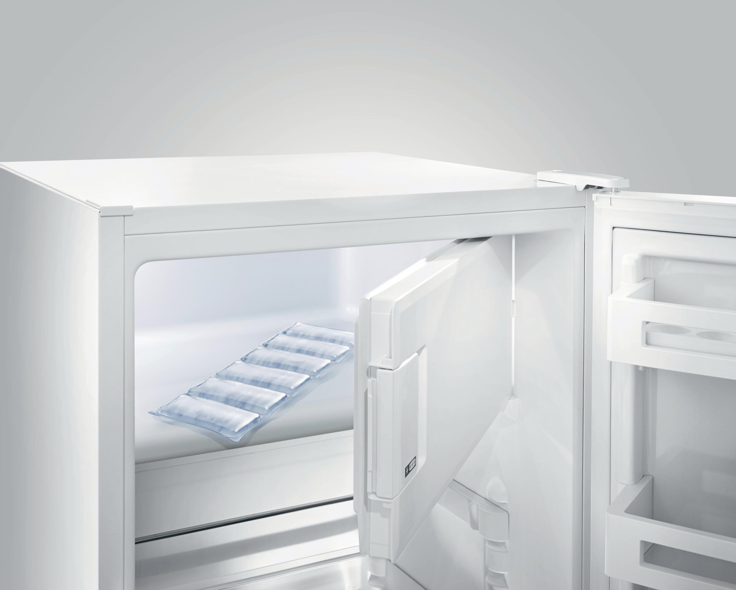 Kühlschrank mit offener Gefriertür, die Kühlakkus zeigt.