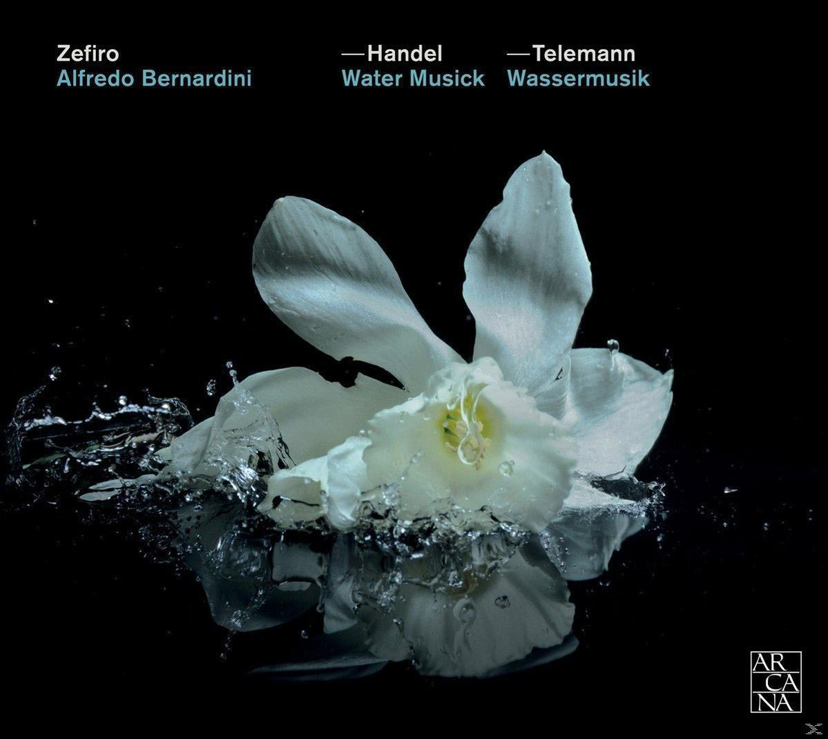 Eine weiße Blume unter Wasser, mit Wassertropfen. Schwarzer Hintergrund mit Text oben.
