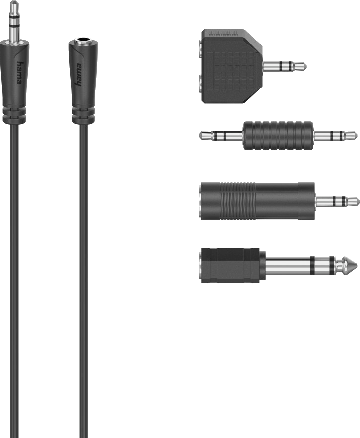 Deux câbles audio noirs avec prises jack 3,5 mm et divers adaptateurs audio.