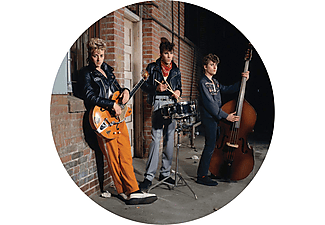 Stray Cats - Live At The Roxy 1981 (Picture Disc) (Vinyl LP (nagylemez))