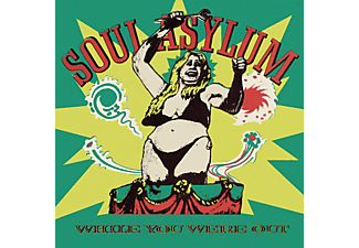 Soul Asylum - While You Were Out (CD)