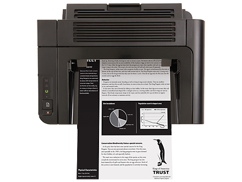 Impresora - HP LaserJet Pro P1606dn