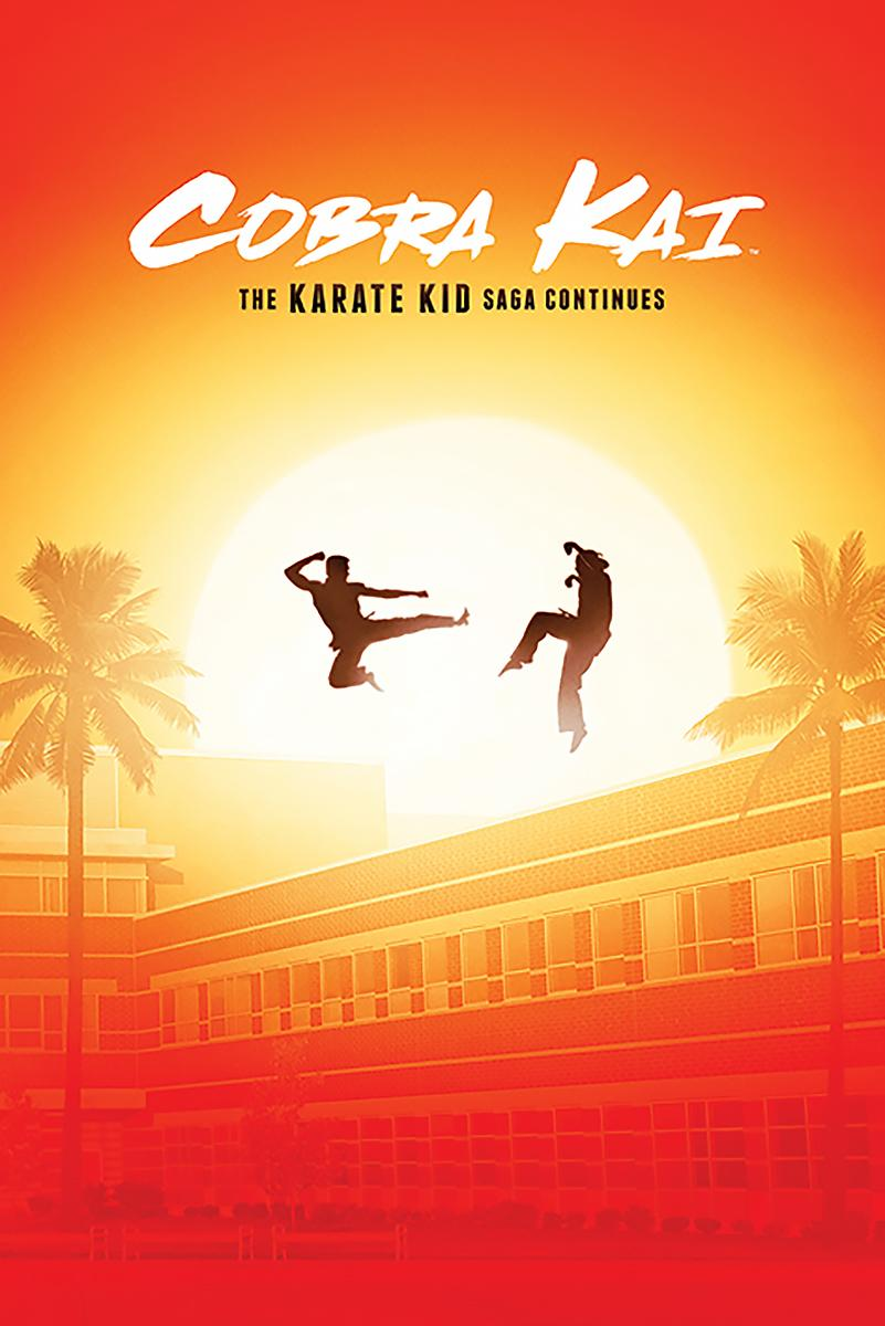 The PYRAMID Cobra INTERNATIONAL Poster Karate Saga Kai Kid Continues
