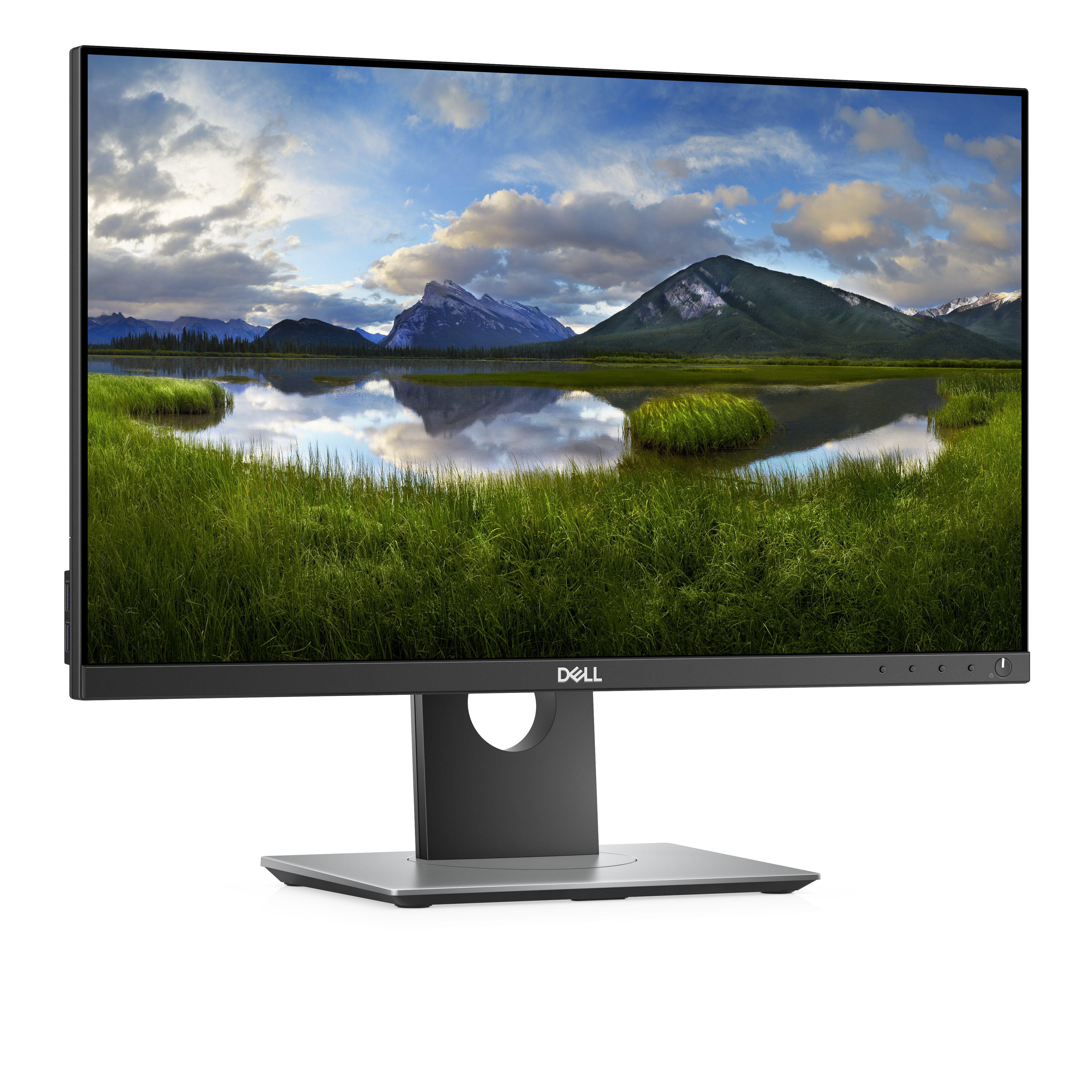 DELL Professional P2418D