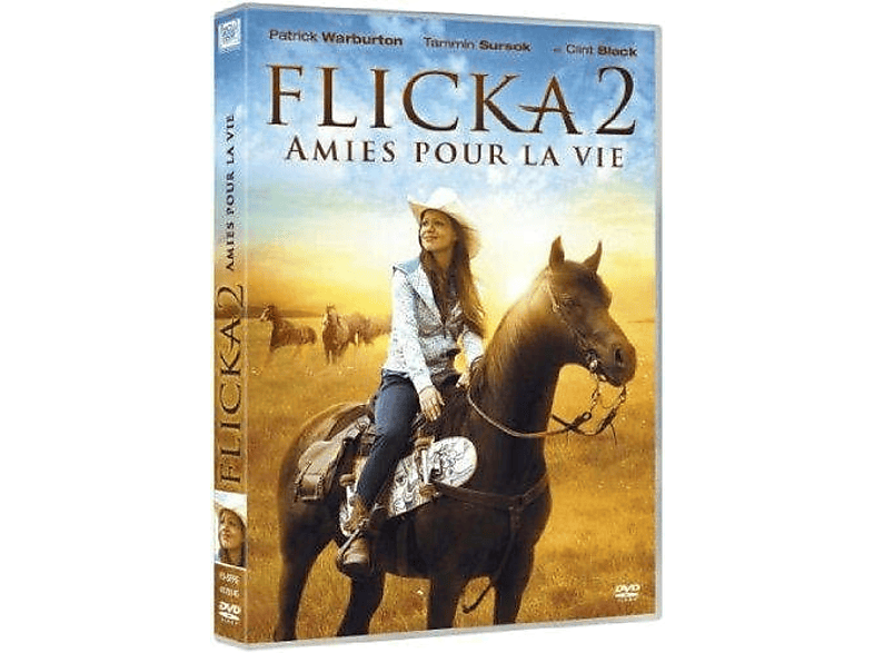 Flicka II | DVD DVD Films