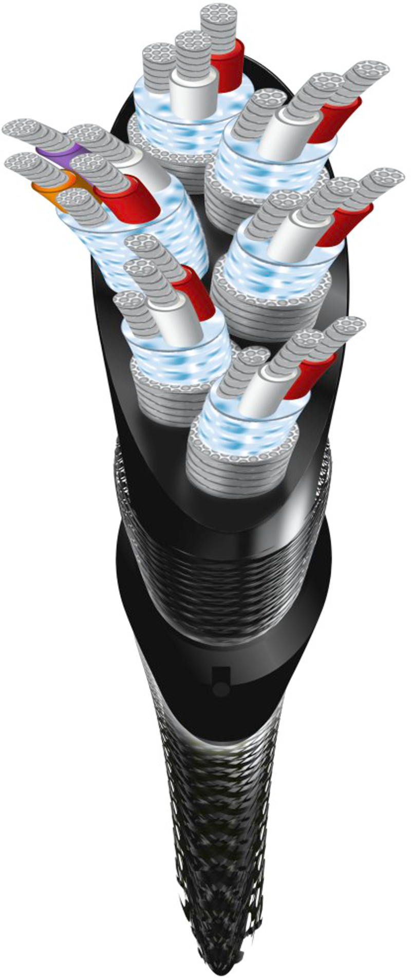 Illustration eines Kabelquerschnitts. Mehrere Innenadern mit roter und weißer Isolierung sind in einem schwarzen Außenmantel sichtbar.