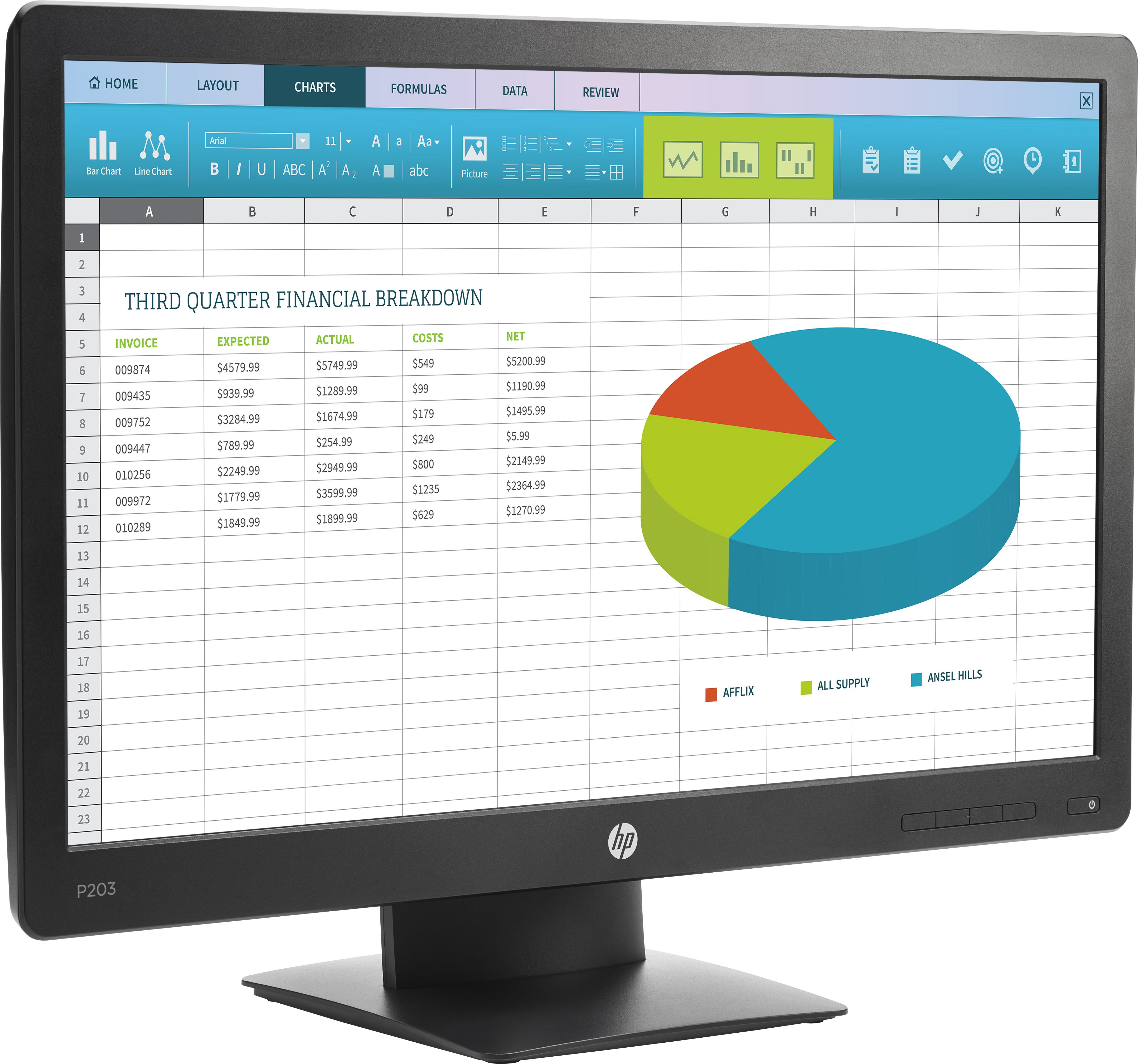 HP ProDisplay P203