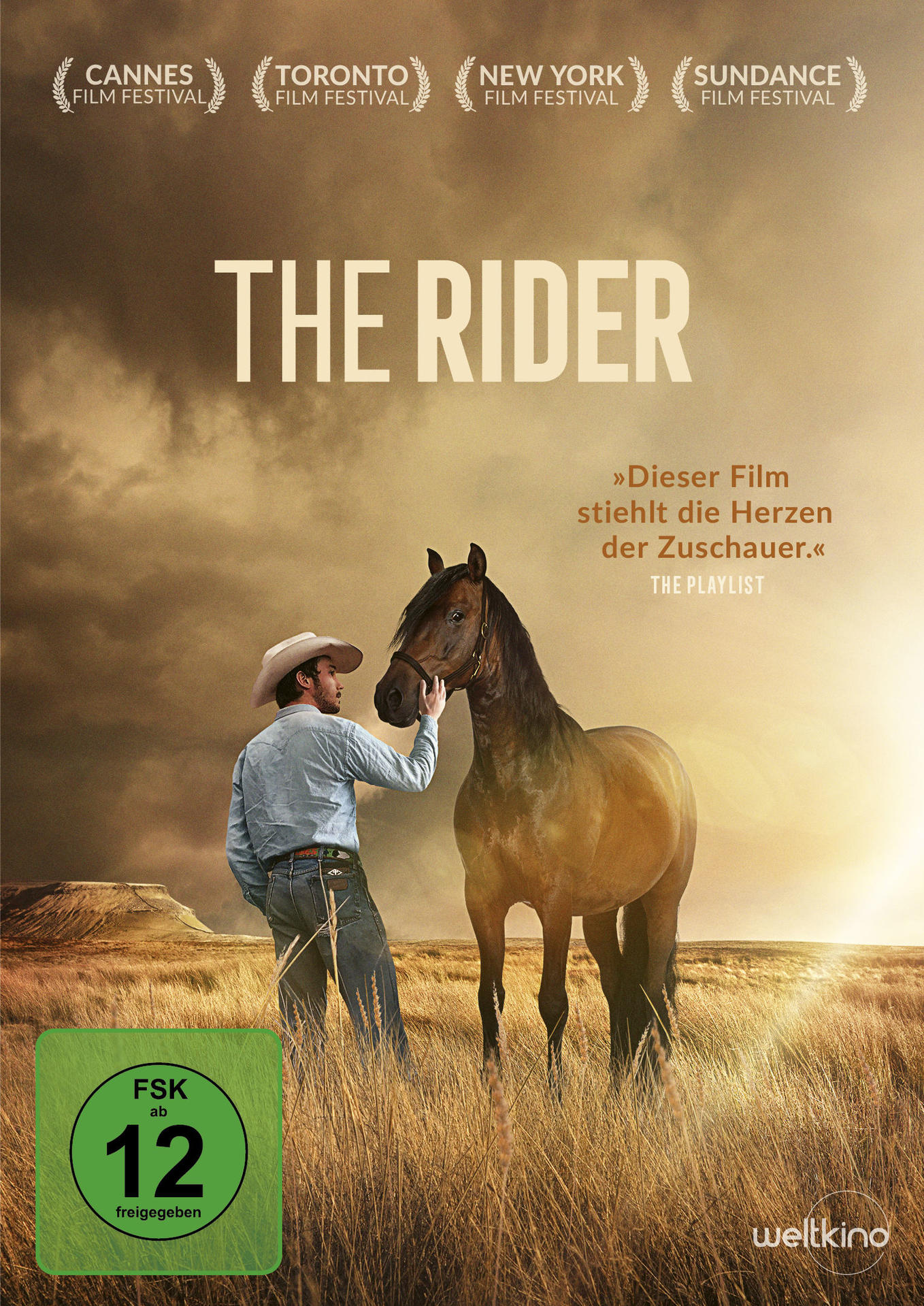 The Rider DVD